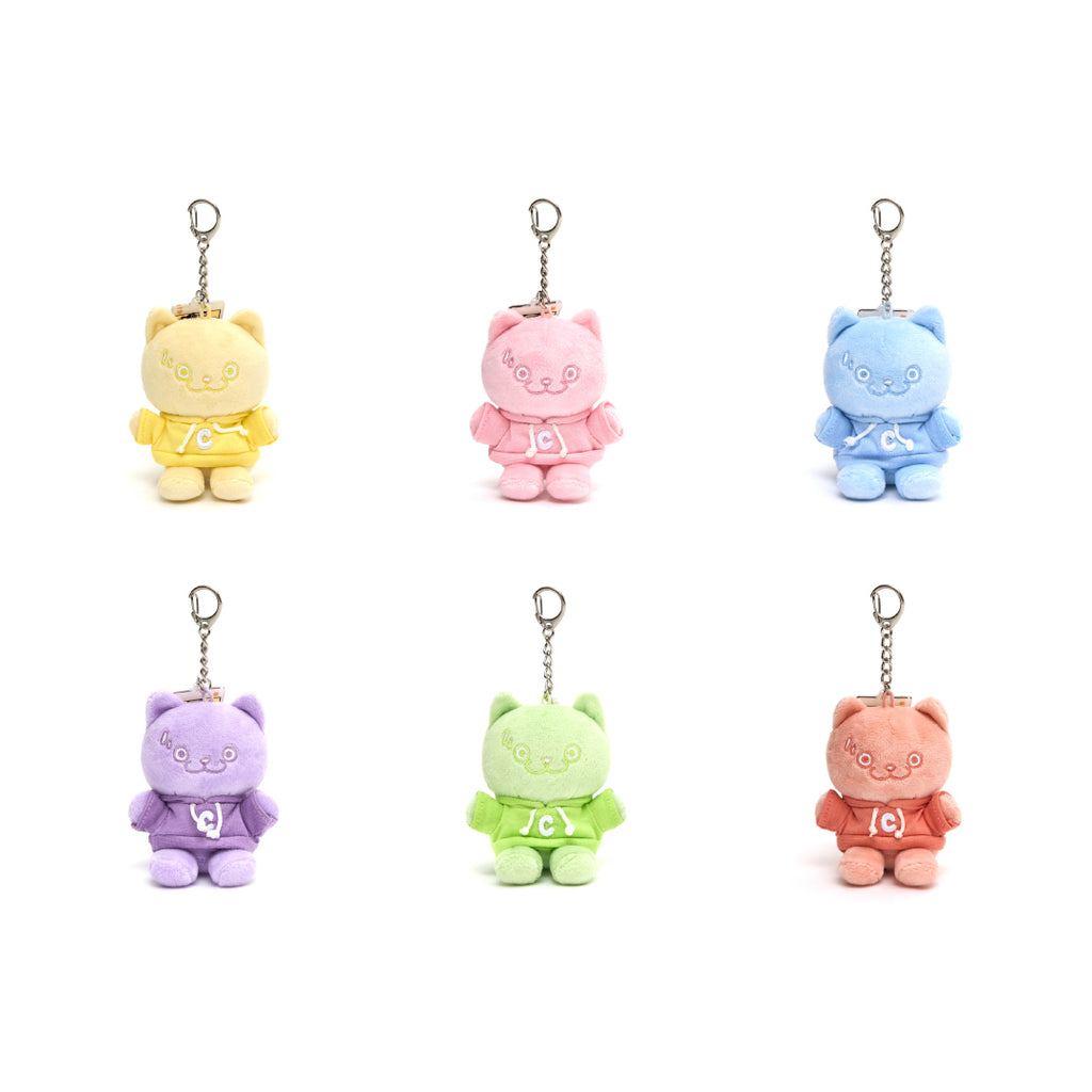 CATXMAN MINI PLUSH WITH C HOODIE BLIND BOX (1 PIECE)